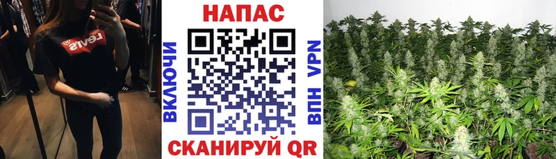 Где купить Великий Новгород Конопля Cocaine Метадон ГАШИШ АМФЕТАМИН