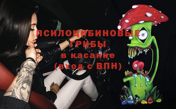 бошки Осинники