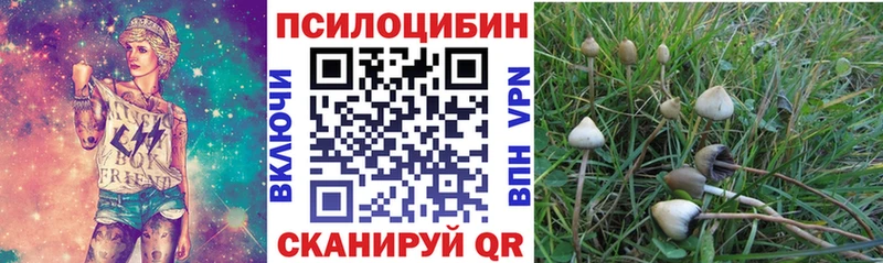 Галлюциногенные грибы Magic Shrooms  Великий Новгород 
