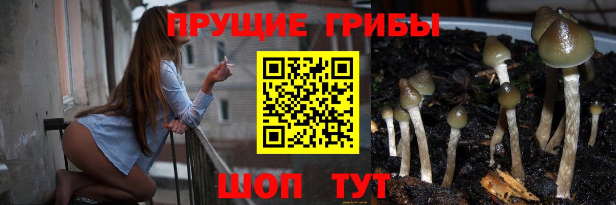 Великий Новгород  Псилоцибиновые грибы GOLDEN TEACHER  Вход с VPN 